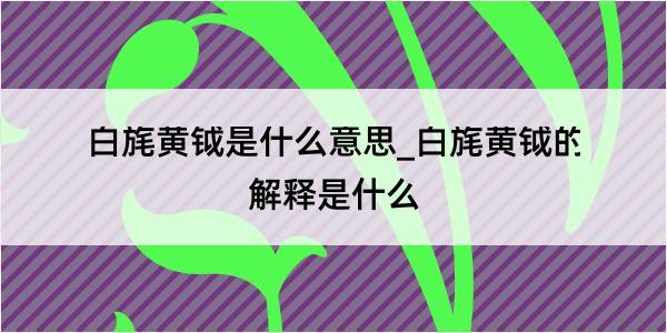 白旄黄钺是什么意思_白旄黄钺的解释是什么