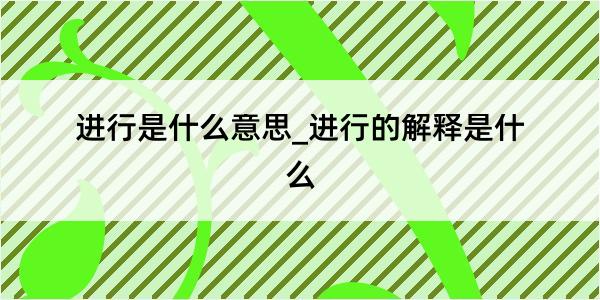 进行是什么意思_进行的解释是什么