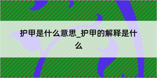 护甲是什么意思_护甲的解释是什么