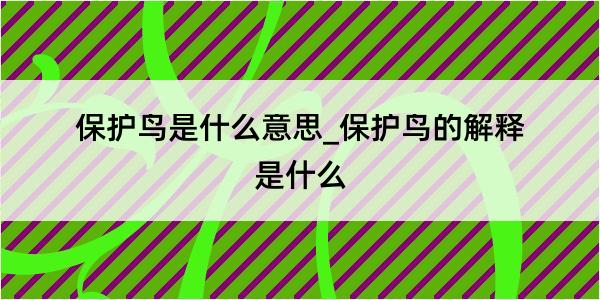 保护鸟是什么意思_保护鸟的解释是什么