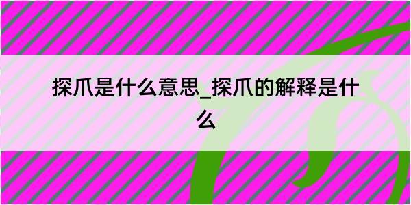 探爪是什么意思_探爪的解释是什么