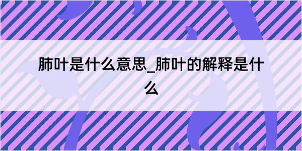 肺叶是什么意思_肺叶的解释是什么