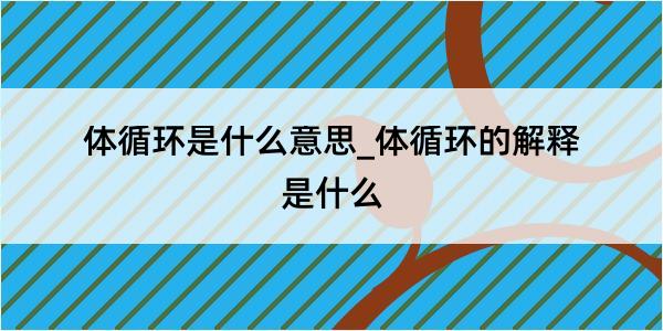 体循环是什么意思_体循环的解释是什么