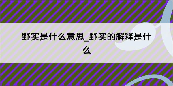 野实是什么意思_野实的解释是什么