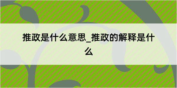 推政是什么意思_推政的解释是什么