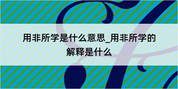 用非所学是什么意思_用非所学的解释是什么