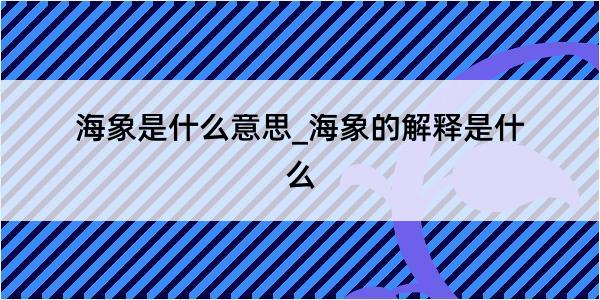 海象是什么意思_海象的解释是什么