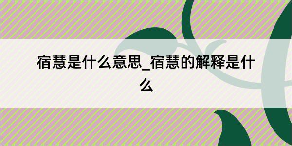 宿慧是什么意思_宿慧的解释是什么