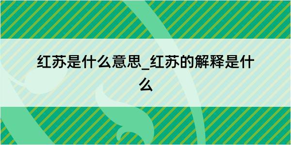 红苏是什么意思_红苏的解释是什么