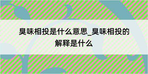 臭味相投是什么意思_臭味相投的解释是什么