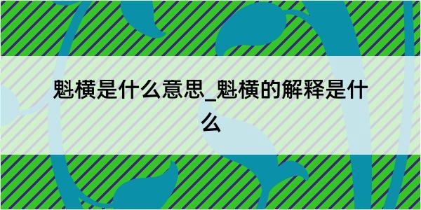 魁横是什么意思_魁横的解释是什么