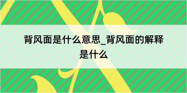 背风面是什么意思_背风面的解释是什么