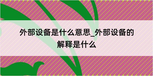 外部设备是什么意思_外部设备的解释是什么