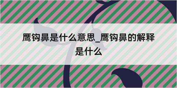 鹰钩鼻是什么意思_鹰钩鼻的解释是什么