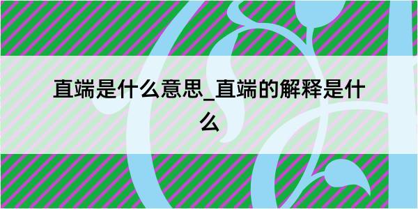 直端是什么意思_直端的解释是什么