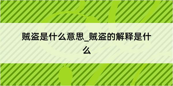 贼盗是什么意思_贼盗的解释是什么