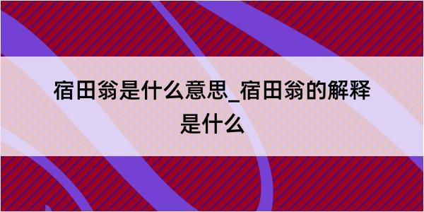 宿田翁是什么意思_宿田翁的解释是什么