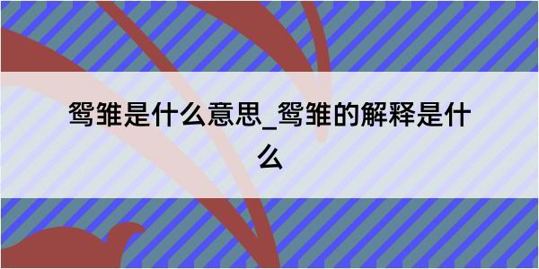 鸳雏是什么意思_鸳雏的解释是什么