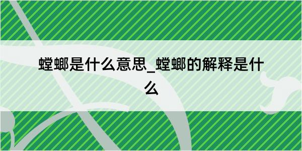 螳螂是什么意思_螳螂的解释是什么