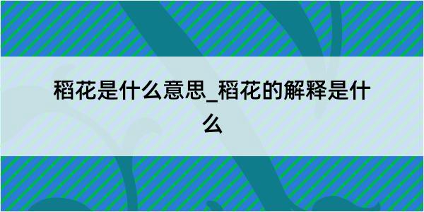 稻花是什么意思_稻花的解释是什么