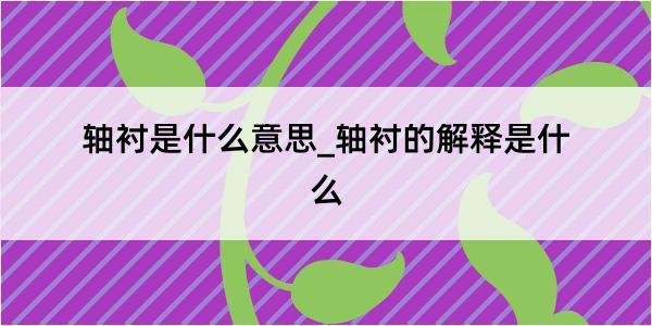 轴衬是什么意思_轴衬的解释是什么