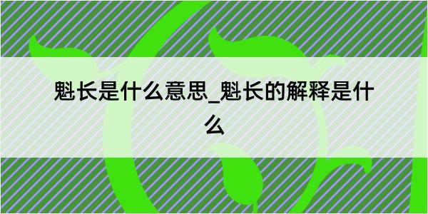 魁长是什么意思_魁长的解释是什么