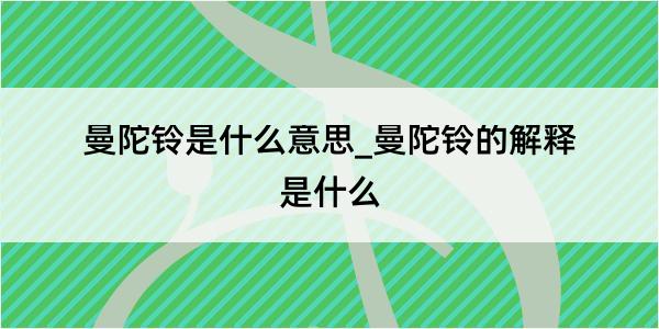 曼陀铃是什么意思_曼陀铃的解释是什么