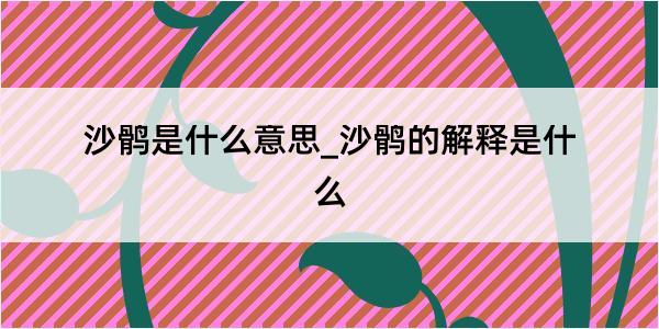 沙鹘是什么意思_沙鹘的解释是什么