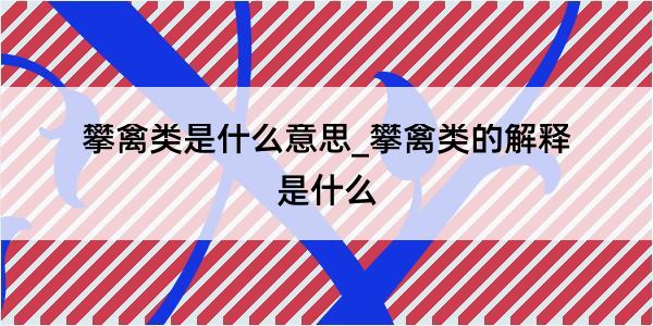 攀禽类是什么意思_攀禽类的解释是什么