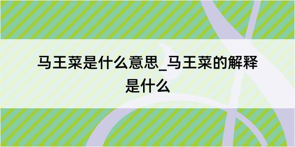 马王菜是什么意思_马王菜的解释是什么