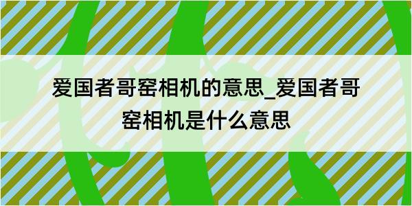 爱国者哥窑相机的意思_爱国者哥窑相机是什么意思