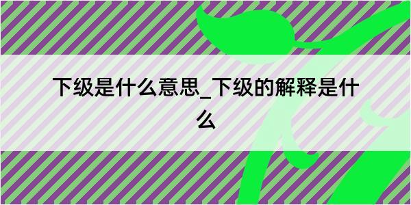 下级是什么意思_下级的解释是什么