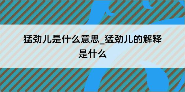 猛劲儿是什么意思_猛劲儿的解释是什么