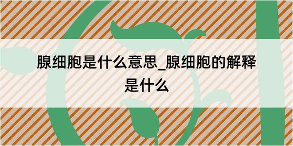 腺细胞是什么意思_腺细胞的解释是什么