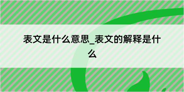 表文是什么意思_表文的解释是什么