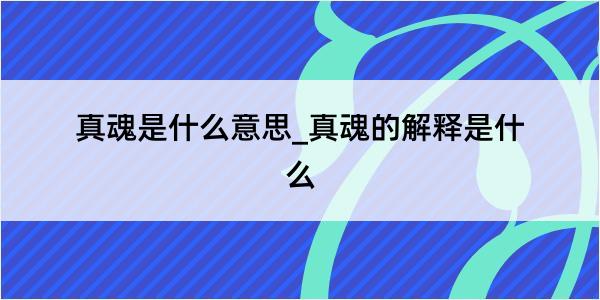 真魂是什么意思_真魂的解释是什么