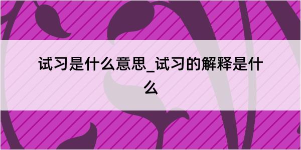 试习是什么意思_试习的解释是什么