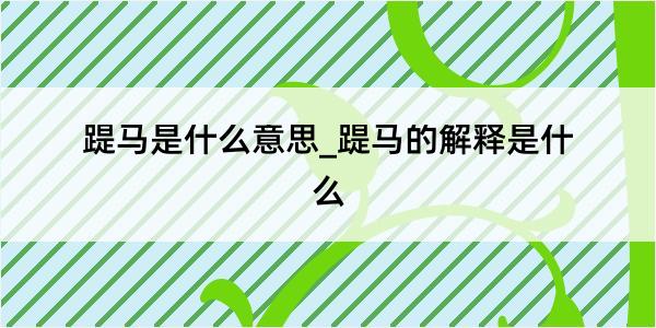 踶马是什么意思_踶马的解释是什么