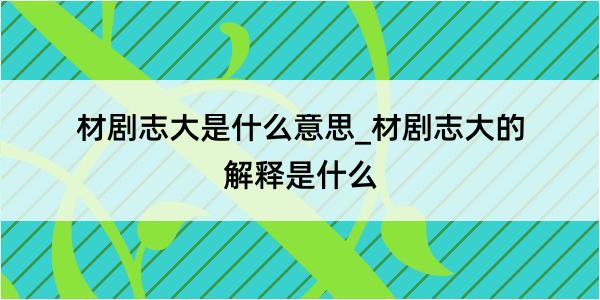 材剧志大是什么意思_材剧志大的解释是什么