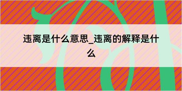 违离是什么意思_违离的解释是什么