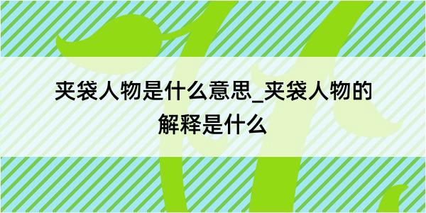 夹袋人物是什么意思_夹袋人物的解释是什么