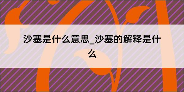 沙塞是什么意思_沙塞的解释是什么