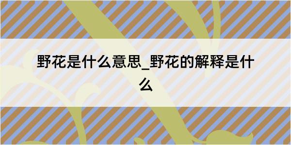 野花是什么意思_野花的解释是什么