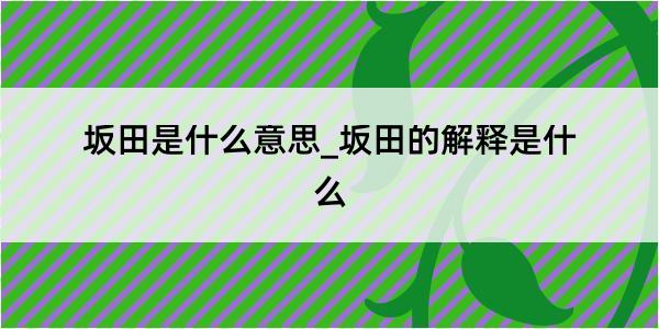 坂田是什么意思_坂田的解释是什么