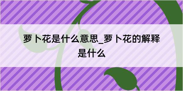 萝卜花是什么意思_萝卜花的解释是什么