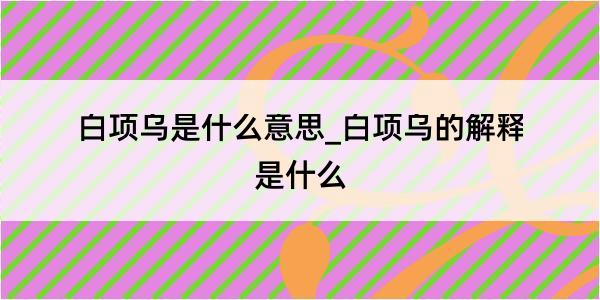 白项乌是什么意思_白项乌的解释是什么