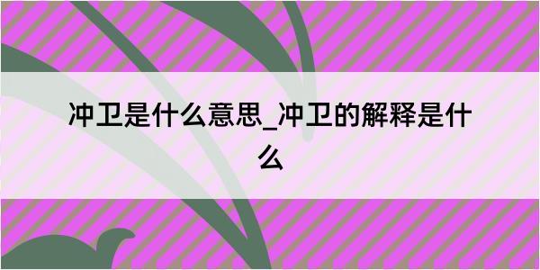 冲卫是什么意思_冲卫的解释是什么