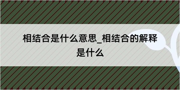 相结合是什么意思_相结合的解释是什么