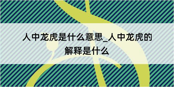 人中龙虎是什么意思_人中龙虎的解释是什么