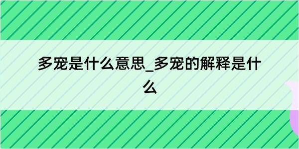 多宠是什么意思_多宠的解释是什么